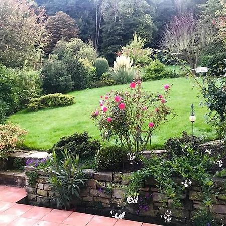 Ein Zuhause Mit Schonem Garten Appartement Bonn Buitenkant foto