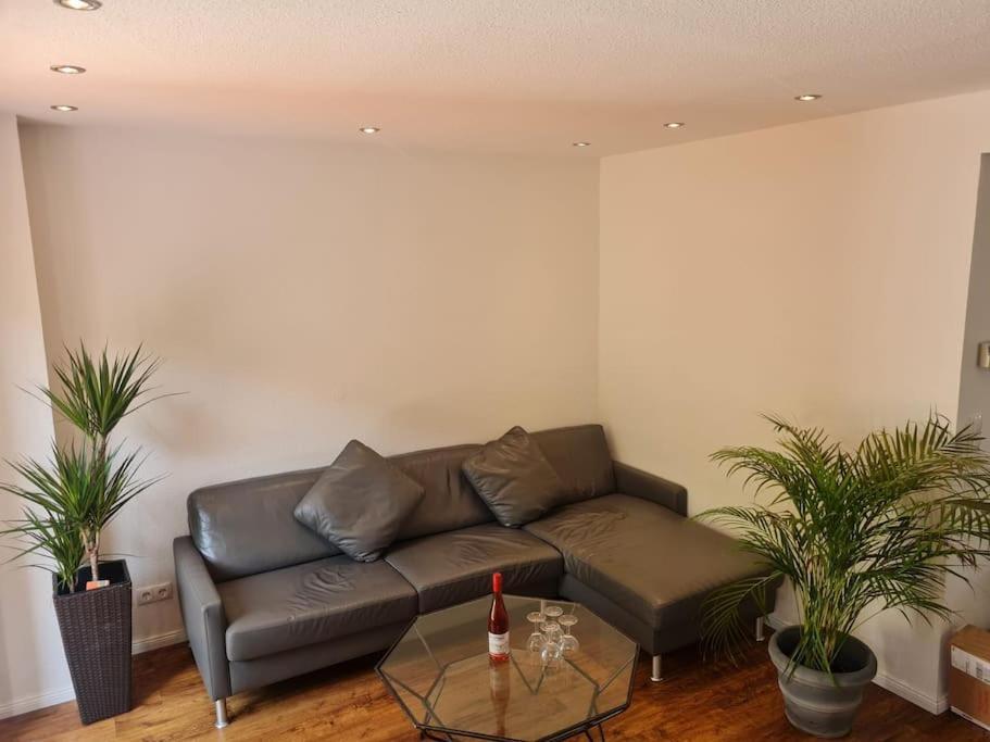 Ein Zuhause Mit Schonem Garten Appartement Bonn Buitenkant foto